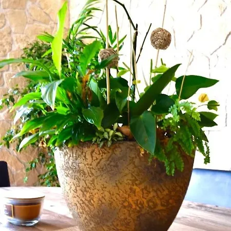 Spacieux Avec Jardin